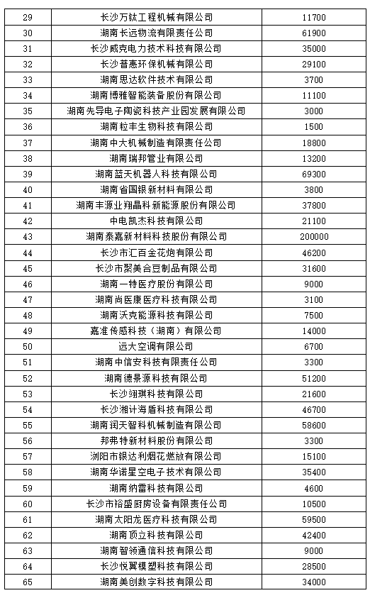 水滴保冉伟：紧扣保险高质量发展脉络 借金融科技之力促普惠保障行稳致远